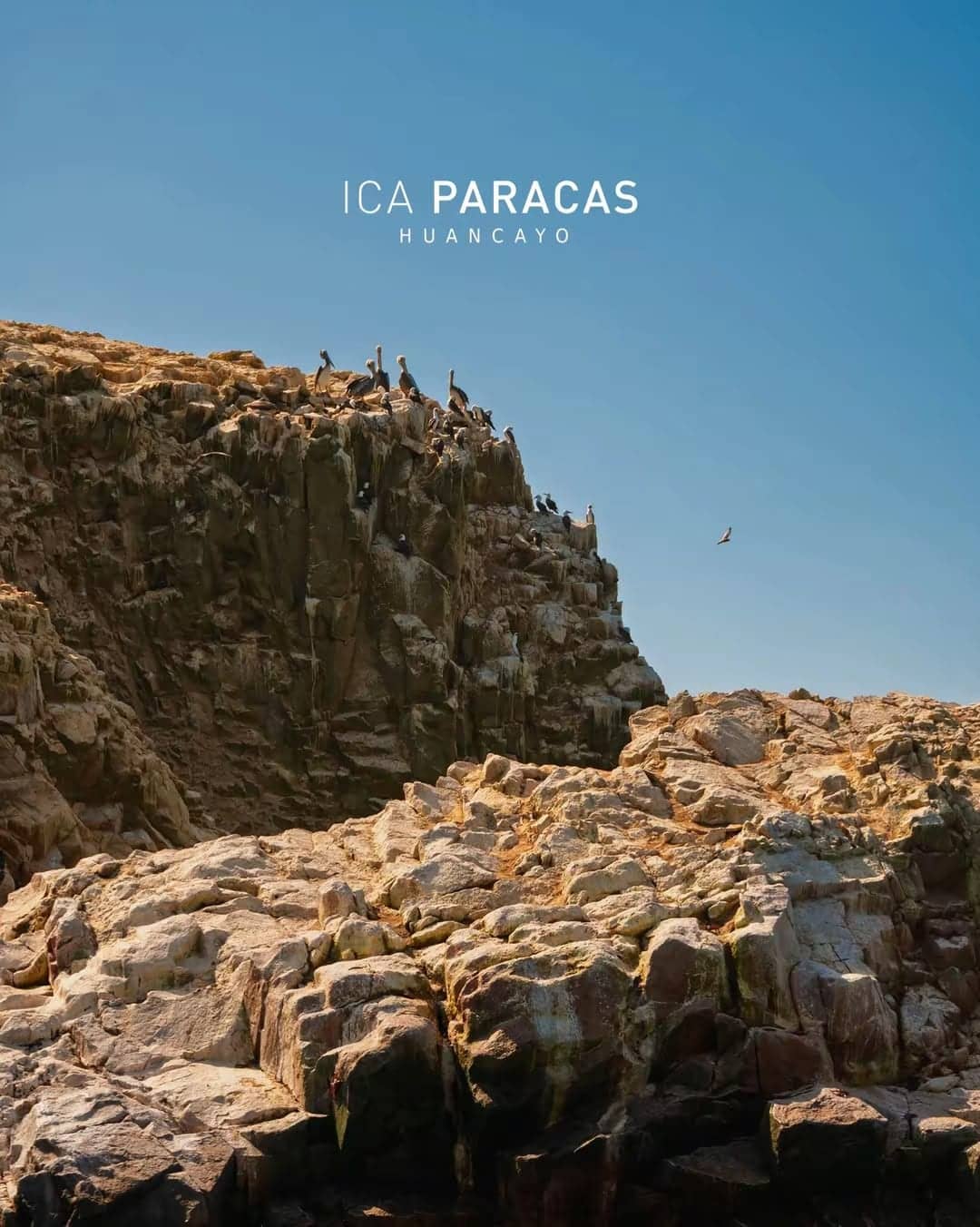 Paracas e Islas Ballestas, foto 4