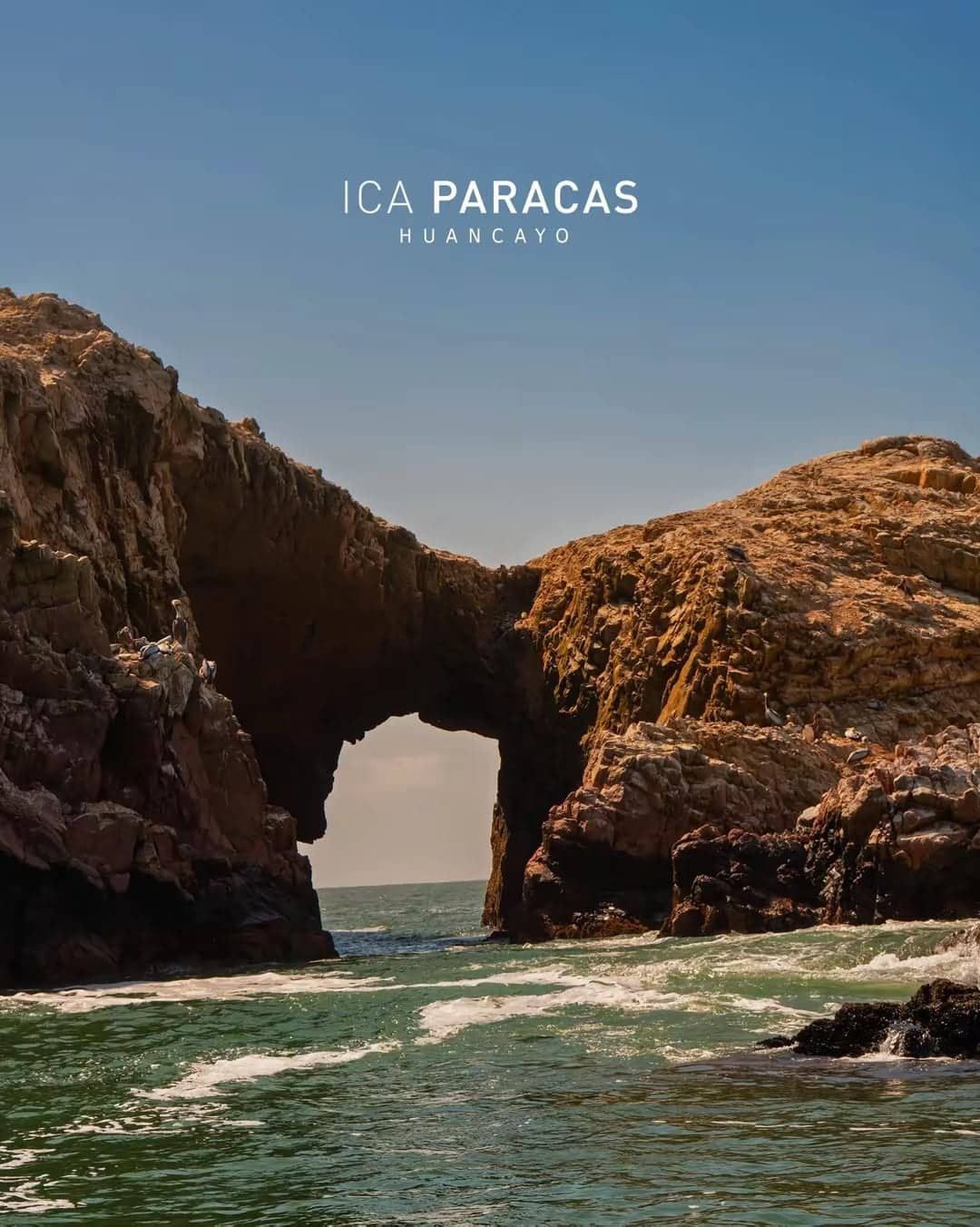 Paracas e Islas Ballestas, foto 3
