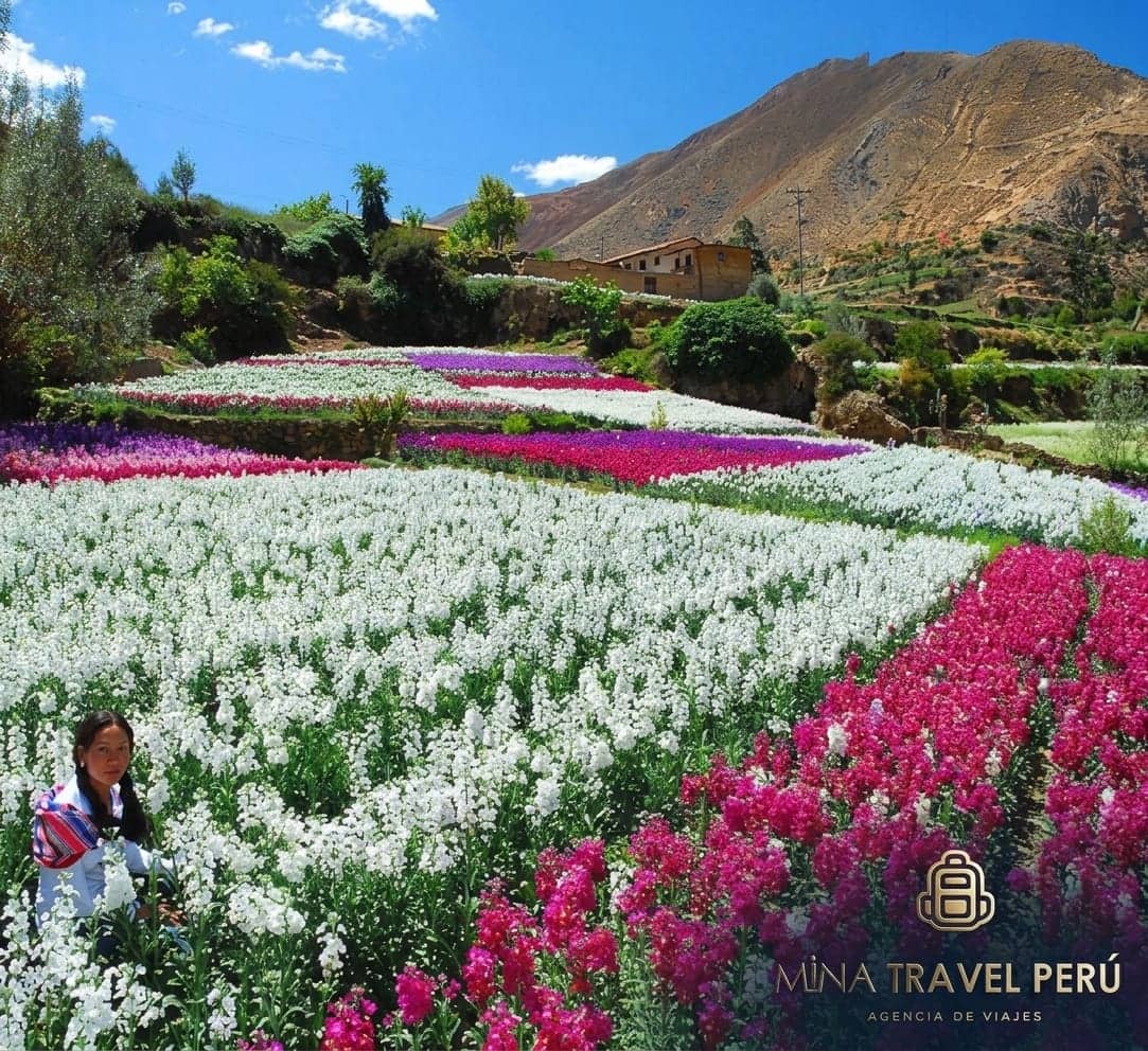 Tarma, Perla de los Andes